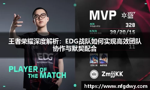 德赢vwin体育官网